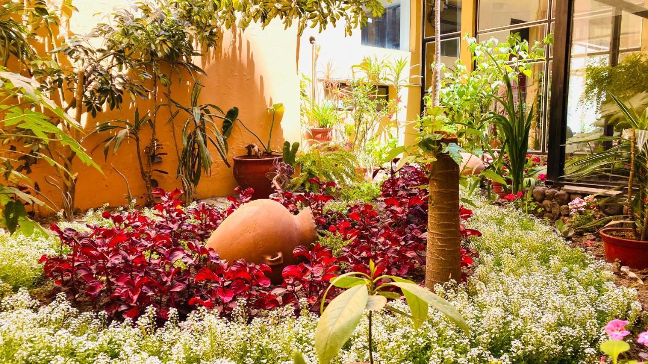 Arequipa Inn מראה חיצוני תמונה